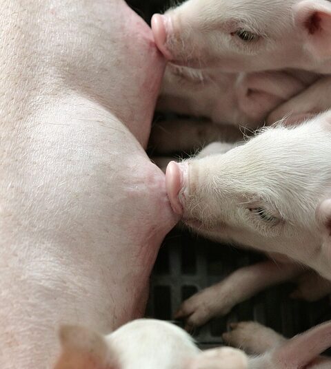 How Your Net Worth Evolves: A Comprehensive Guide to Financial Growth Over Your Lifetime