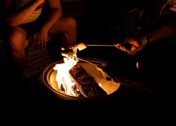 How to Achieve FIRE with a Family: A Step-by-Step Guide to Financial Independence