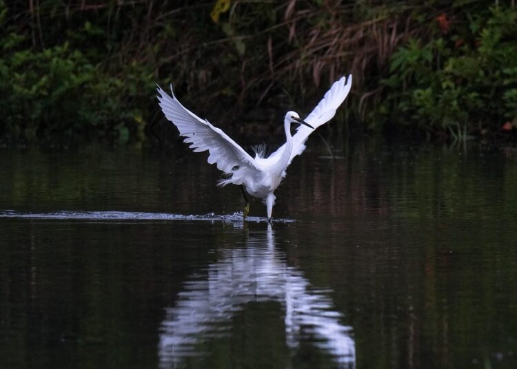 How to Avoid the 7 Most Common Emergency Fund Mistakes That Could Cost You