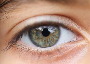 How to Build a Financial Vision Board: Your Step-by-Step Guide to Wealth and Success