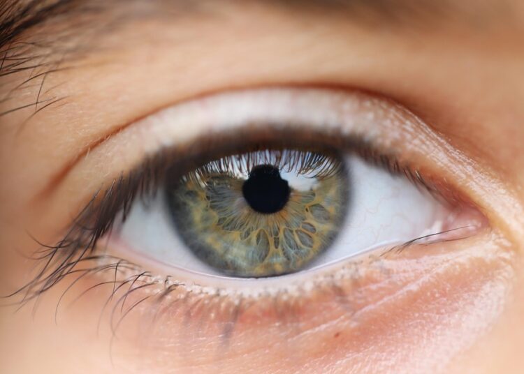 How to Build a Financial Vision Board: Your Step-by-Step Guide to Wealth and Success