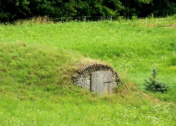 How to Build a Frugal Pantry: 10 Essential Tips for Budget-Savvy Shoppers