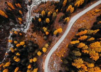 How to Categorize Expenses Like a Pro: 7 Tips for Better Financial Management