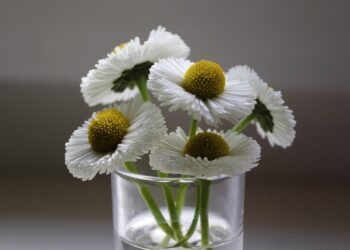 How to Choose Stocks with a Robo-Advisor: A Step-by-Step Guide