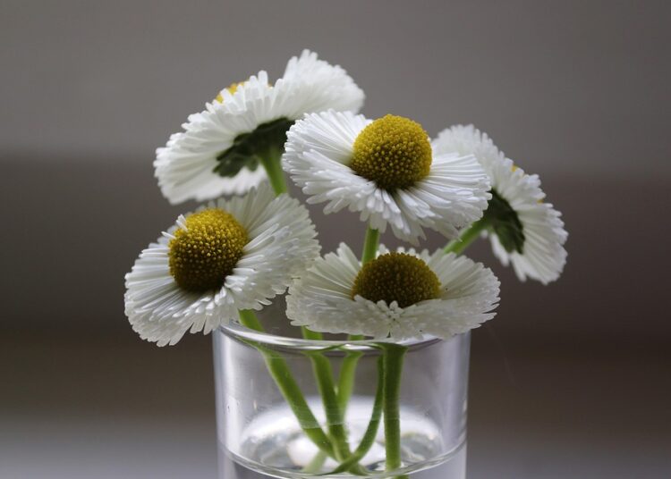 How to Choose Stocks with a Robo-Advisor: A Step-by-Step Guide