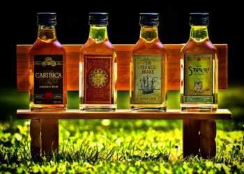 How to Choose the Right Bank Account: A Guide to Different Types of Accounts