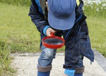 How to Choose the Right ETF: 7 Key Factors to Consider