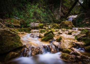 How to Create Passive Income Streams: A Step-by-Step Guide for Beginners