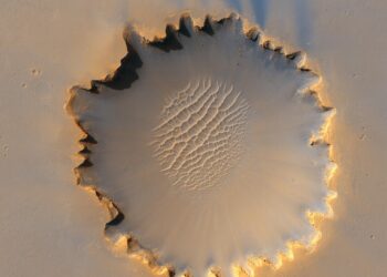 How to Cultivate a Wealth-Building Mindset for Financial Success