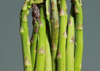 How to Eat Healthy on a Budget: 10 Simple Tips for Smart Grocery Shopping