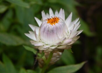 How to Embrace a Frugal Life: A Step-by-Step Guide to Saving Big