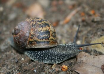 How to Get Started with Stockpiling: A Beginner’s Ultimate Guide