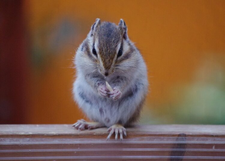 How to Invest During a Recession: 5 Proven Strategies for Financial Resilience