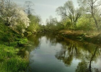 How to License Your Photos Online: A Step-by-Step Guide for Photographers