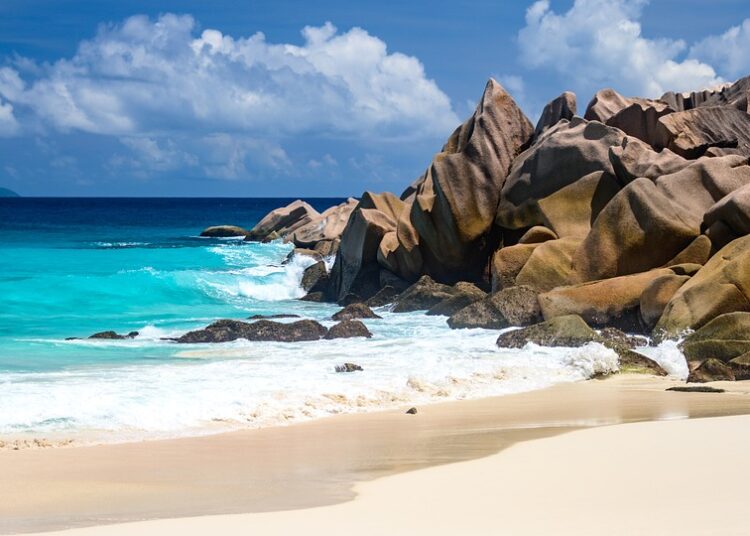 How to Make Money from Stocks: A Step-by-Step Guide for Beginners How to Make Money from Stocks: A Step-by-Step Guide for Beginners