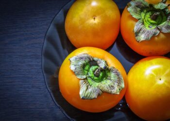 How to Maximize Your Roth IRA: The Ultimate Guide to Investing in ETFs