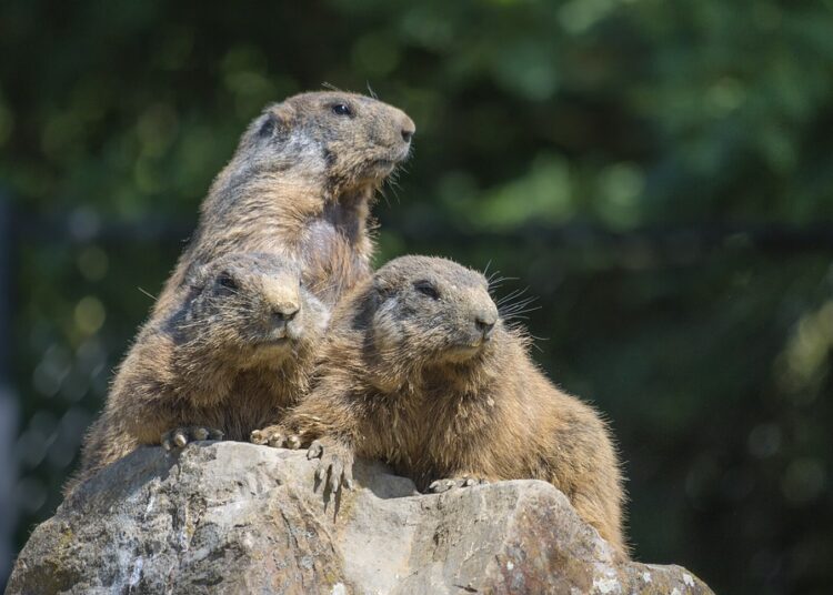 How to Practice Mindful Spending: A Step-by-Step Guide for Better Financial Health