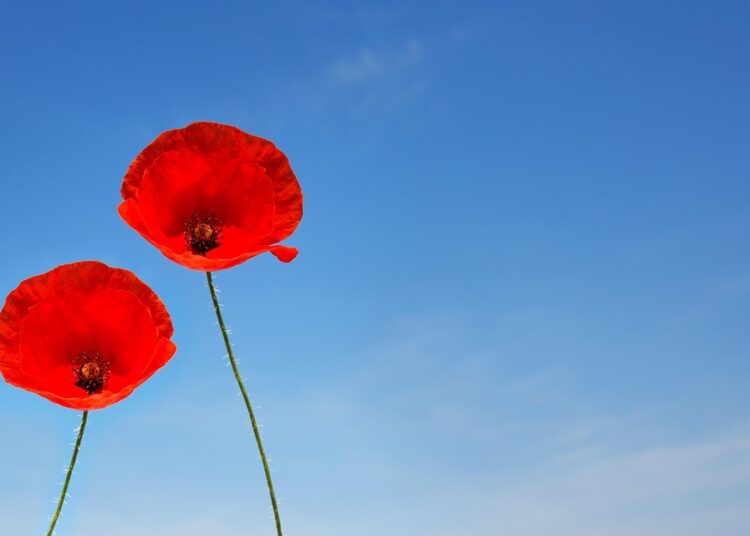 How to Pursue FIRE as a Couple: A Step-by-Step Guide to Financial Freedom