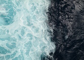 How to Set Financial Boundaries with Family: A Step-by-Step Guide for Peace of Mind