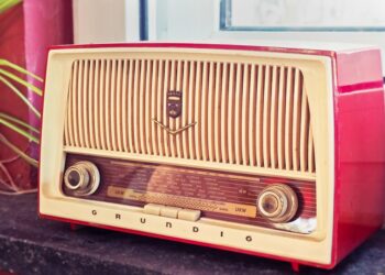 How to Start Dividend Investing: A Beginner’s Guide to Earning Passive Income