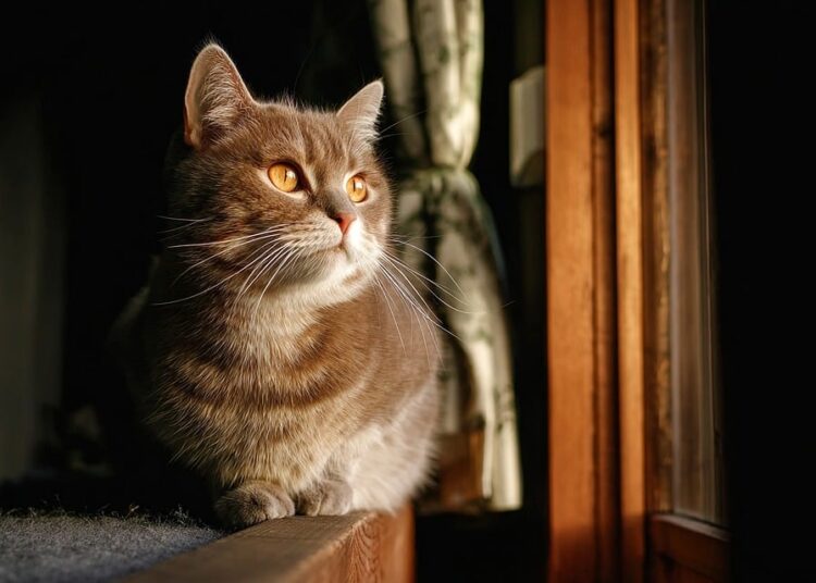 How to Talk to Your Partner About Debt: A Step-by-Step Guide to Open Communication