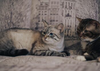 How to Transform Your Financial Future: What is a Money Date?