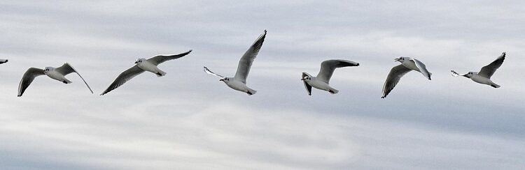 How to Understand Sequence of Returns Risk: A Beginner’s Guide