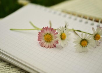 How to Write a Book and Earn Royalties: A Step-by-Step Guide for Aspiring Authors