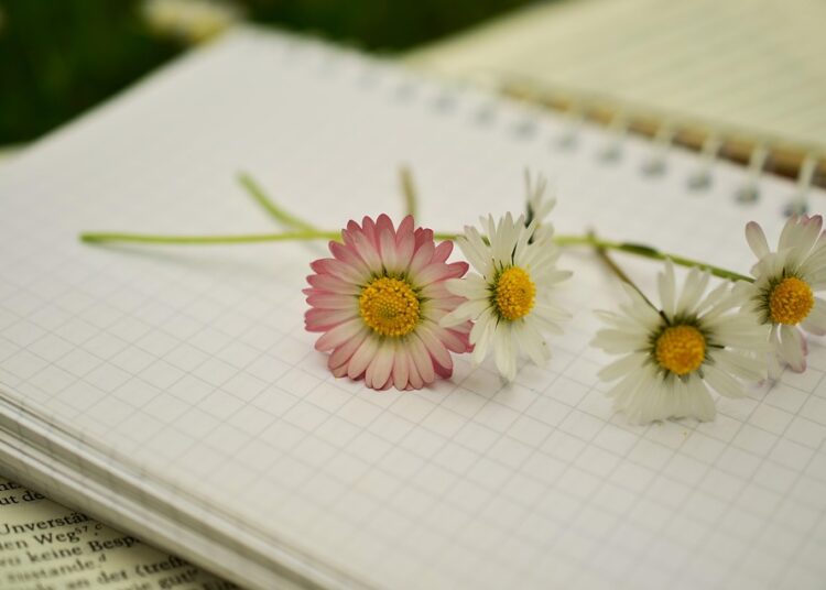 How to Write a Book and Earn Royalties: A Step-by-Step Guide for Aspiring Authors How to Write a Book and Earn Royalties: A Step-by-Step Guide for Aspiring Authors