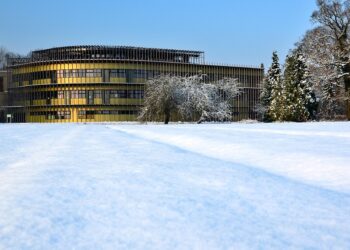 Is Dropshipping Truly Passive? The Truth Behind the Hype