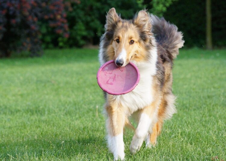 Lost or Stolen Debit Card? A Step-by-Step Guide to Keep Your Finances Safe