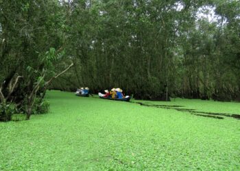 Saving vs. Investing: What’s the Key Difference and Why It Matters for Your Financial Future