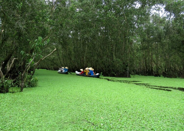 Saving vs. Investing: What’s the Key Difference and Why It Matters for Your Financial Future