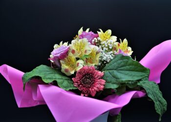 Step-by-Step Guide: How to Close a Robo-Advisor Account Without Hassle