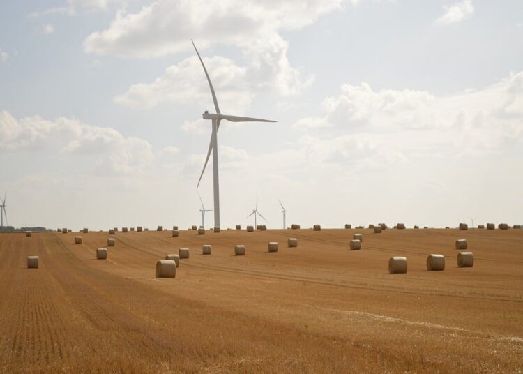 Sustainable Investing for Beginners: A Step-by-Step Guide to Making a Positive Impact