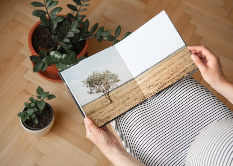 The Ultimate Guide to Understanding the Fine Print of a HYSA: What You Need to Know Before Investing