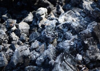 Top 10 FIRE Movement Blogs You Should Follow for Ultimate Financial Freedom