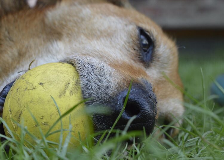 What Are Catch-Up Contributions for Retirement? A Comprehensive Guide for Savvy Savers