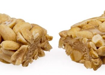 What Are Payday Loans? A Comprehensive Guide to Understanding Short-Term Borrowing