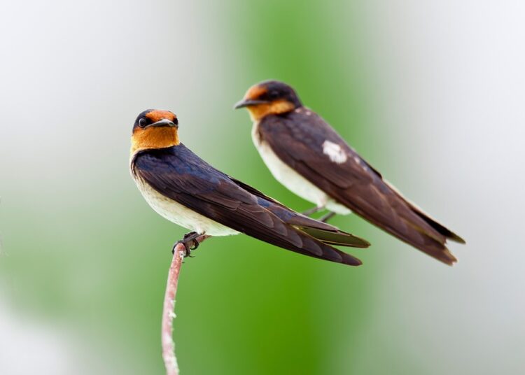 What If My Emergency Fund Is Not Enough? 7 Essential Steps to Take Now