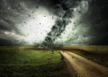 What Is Asset Protection? A Comprehensive Guide to Safeguarding Your Wealth