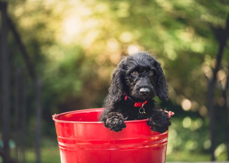 What Is a Bucket Strategy for Retirement? A Comprehensive Guide to Secure Your Future