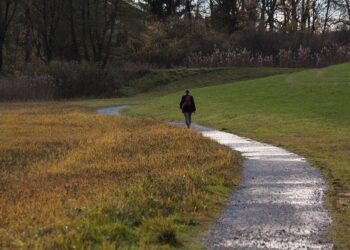 What Is a Side Hustle for FIRE? A Comprehensive Guide to Financial Independence