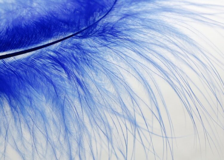 What Is a Thin Credit File? Understanding Its Challenges and Solutions