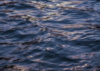 What is Liquidity in an ETF? A Beginner’s Guide to Understanding Market Dynamics