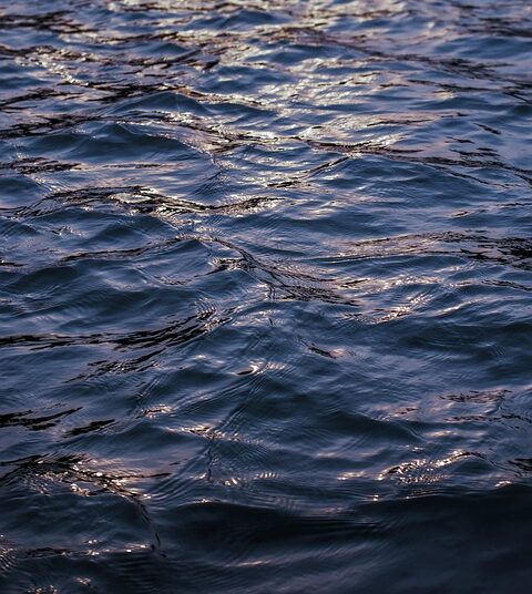 What is Liquidity in an ETF? A Beginner’s Guide to Understanding Market Dynamics