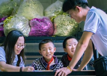 What is Online Tutoring? A Comprehensive Guide for Students and Parents