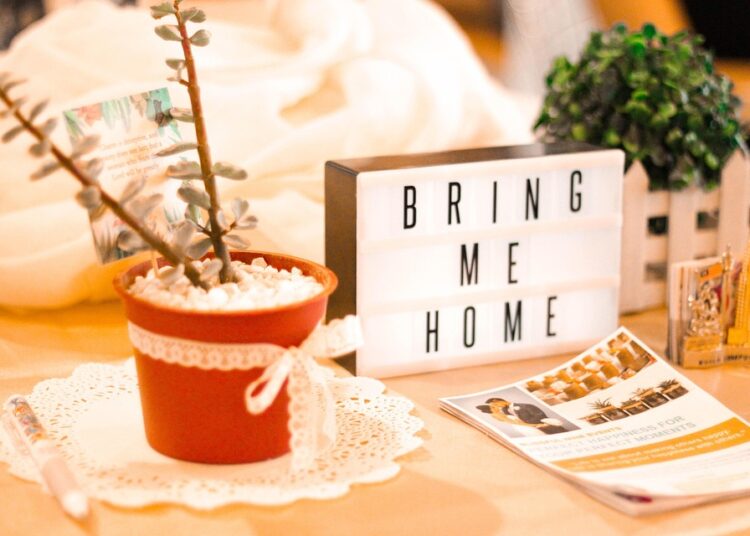 What is Renting Out a Room on Airbnb? A Comprehensive Guide for Beginners What is Renting Out a Room on Airbnb? A Comprehensive Guide for Beginners