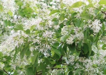 What is a 401k? A Comprehensive Guide to Retirement Savings for Beginners