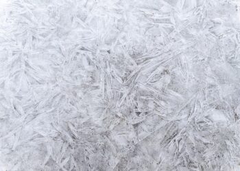 What is a Credit Freeze? A Complete Guide to Protecting Your Identity